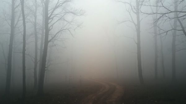La densité du brouillard : clé d'une sécurité optimisée